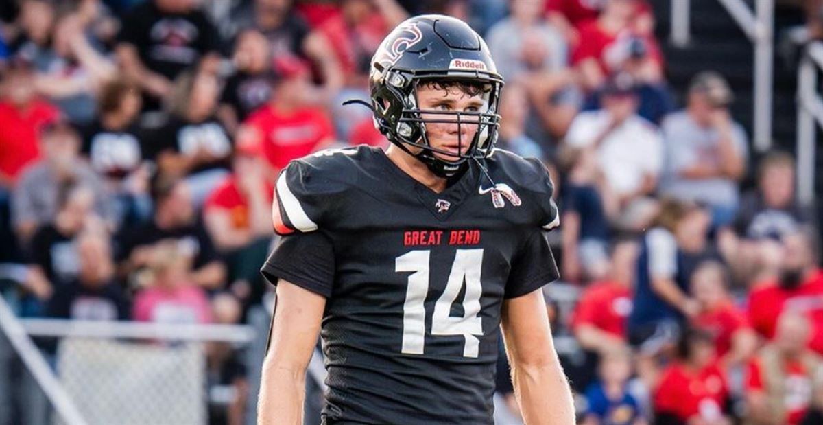 中起到的作 中起到的作