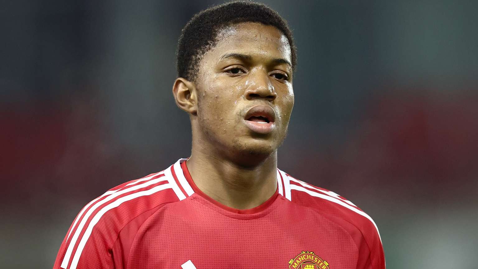 市场价值 市场价值