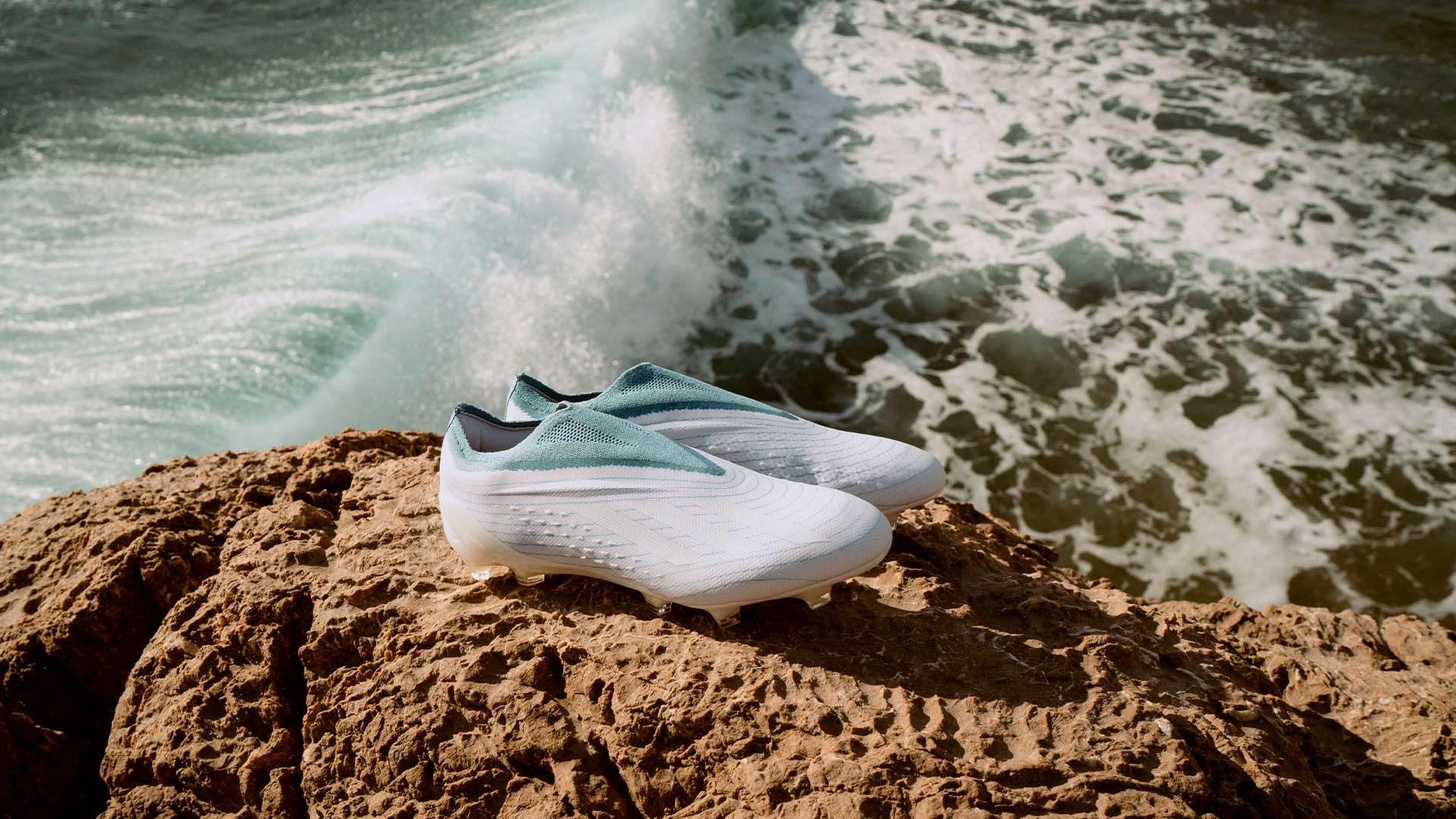 他不僅要在 他不僅要在