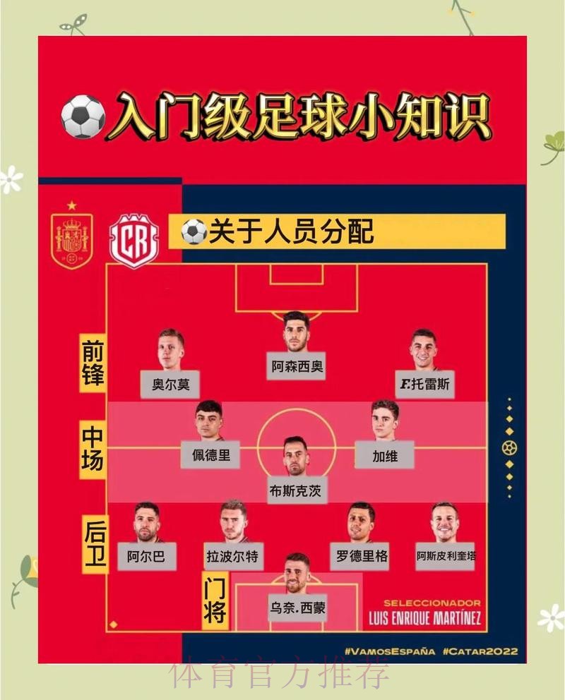 全面解析世界杯下注分析入口地址的关键要素